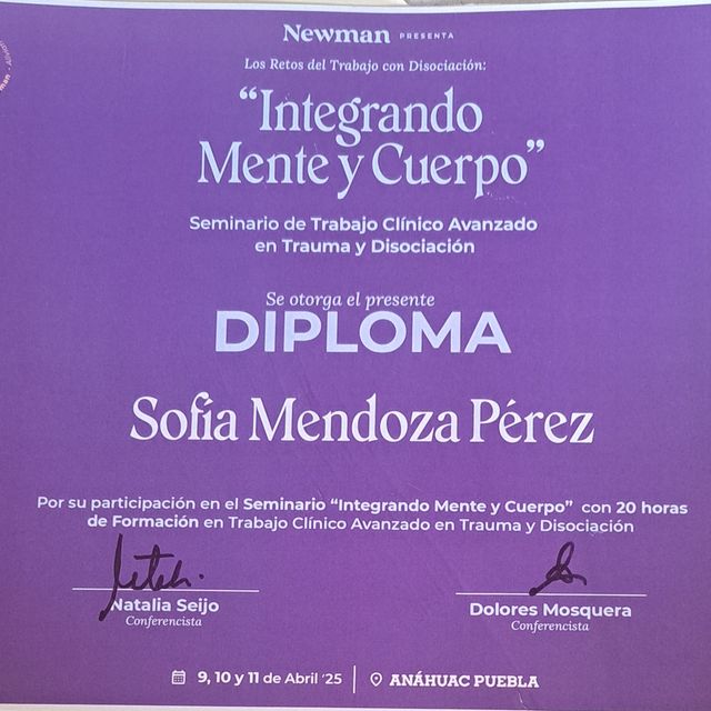 Ampliar imagen: certificate 8