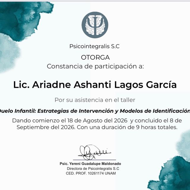 Ampliar imagen: certificate 27