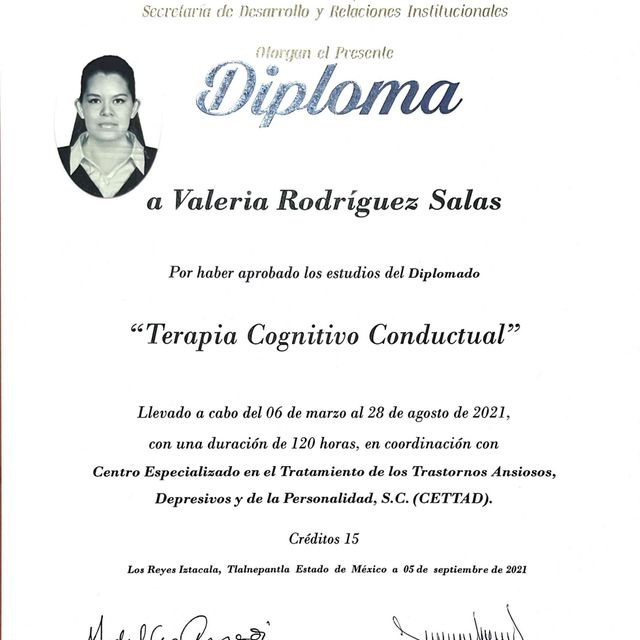 Ampliar imagen: certificate 2