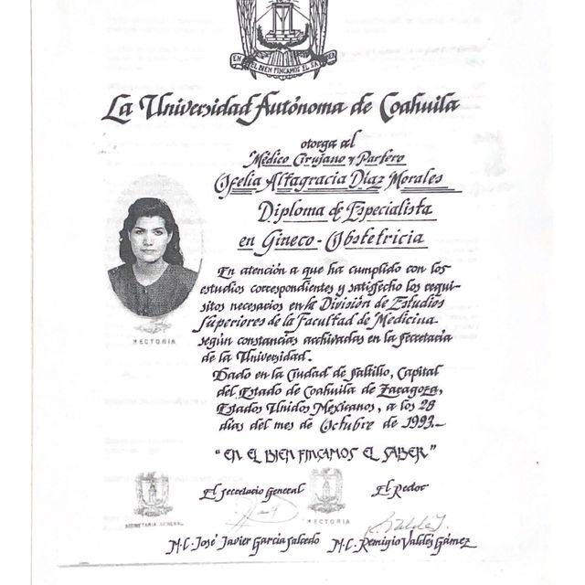 Ampliar imagen: certificate 3