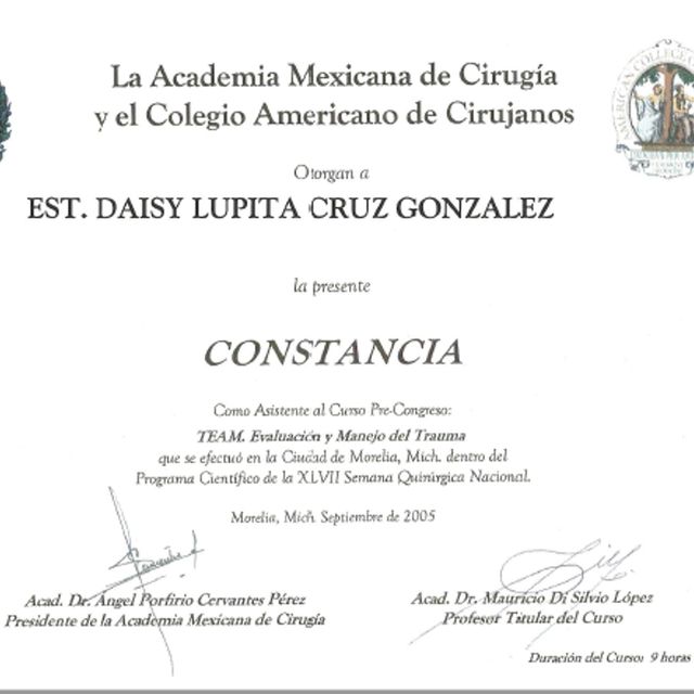 Ampliar imagen: certificate 4