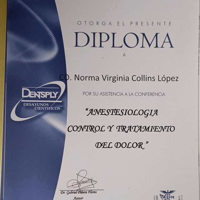 Ampliar imagen: certificate 3