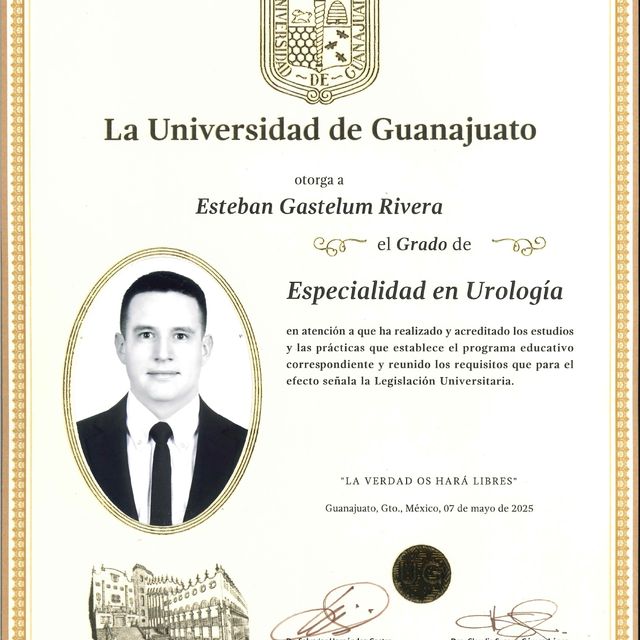 Ampliar imagen: certificate 3