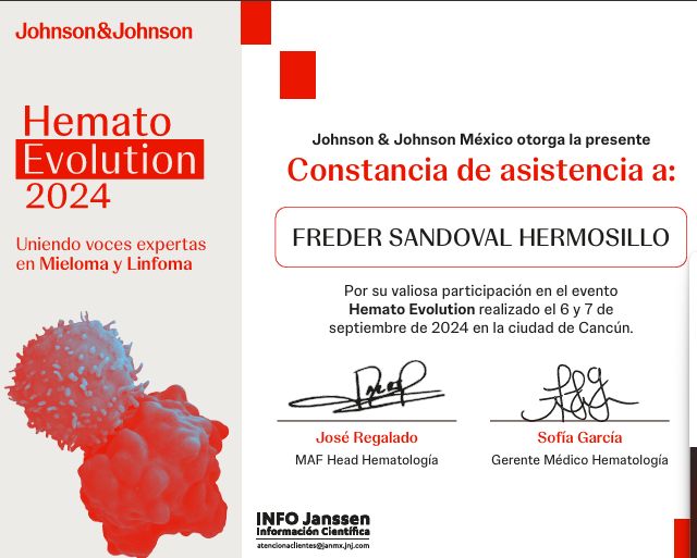Ampliar imagen: certificate 2
