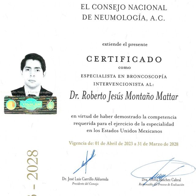 Ampliar imagen: certificate 6