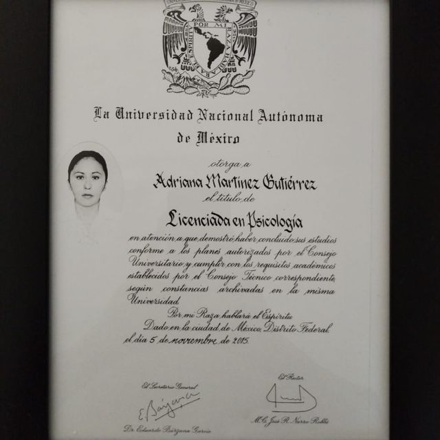 Ampliar imagen: certificate 1