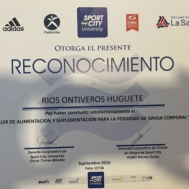 Ampliar imagen: certificate 2