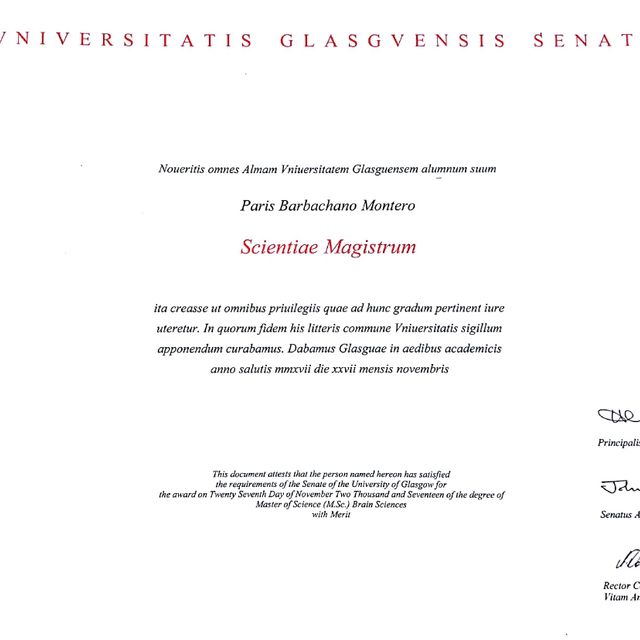 Ampliar imagen: certificate 1