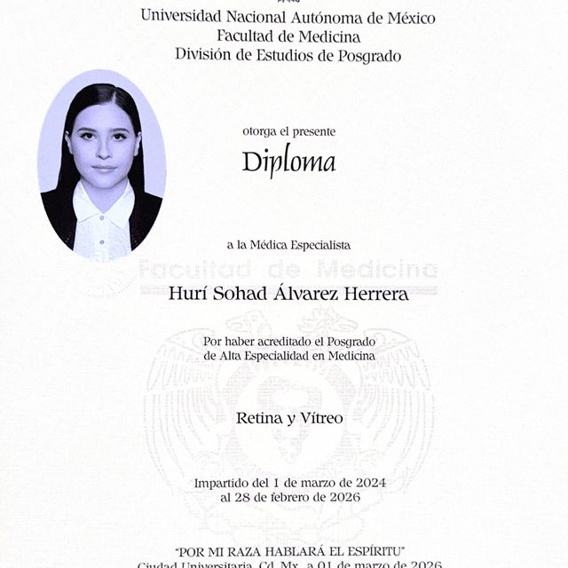 Ampliar imagen: certificate 3