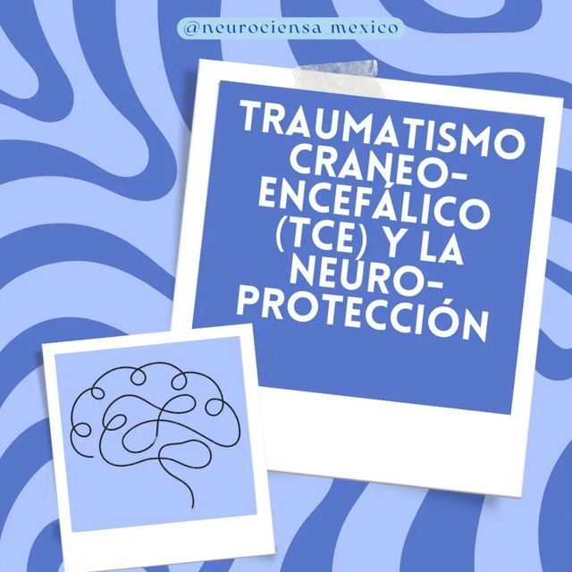 Ampliar imagen: certificate 19