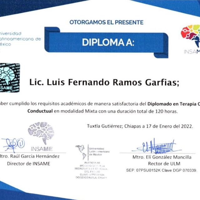 Ampliar imagen: certificate 3
