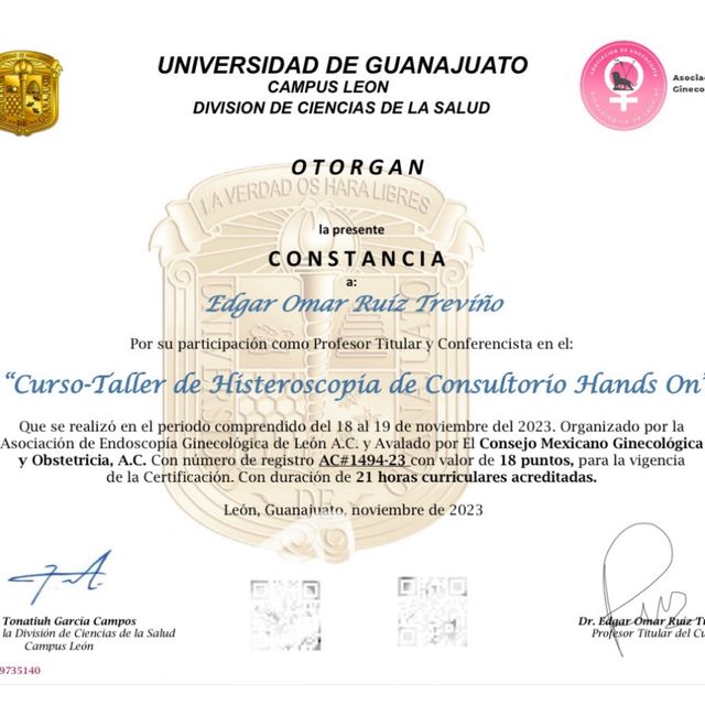 Ampliar imagen: certificate 11