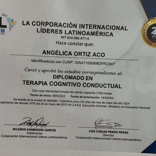 Ampliar imagen: certificate 5