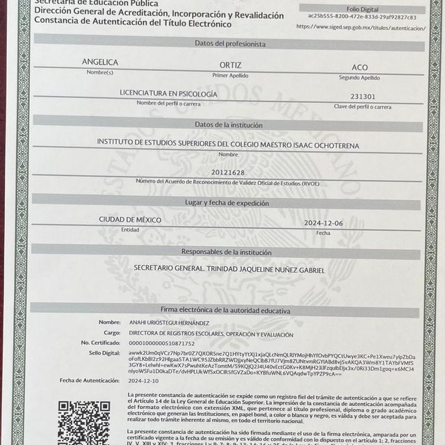 Ampliar imagen: certificate 1