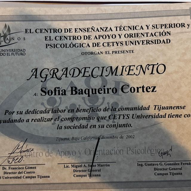 Ampliar imagen: certificate 9
