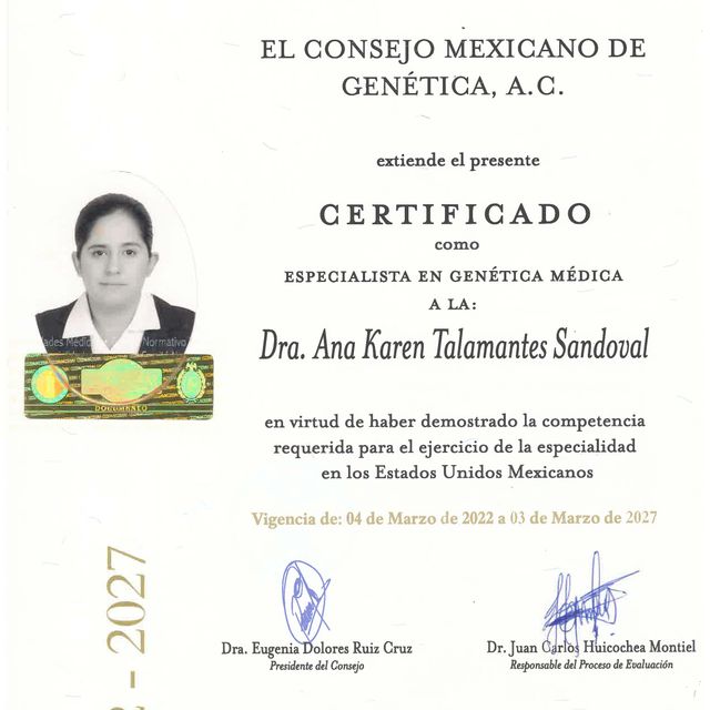 Ampliar imagen: certificate 4
