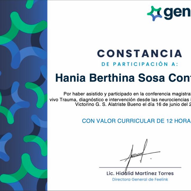 Ampliar imagen: certificate 7
