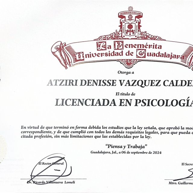 Ampliar imagen: certificate 3