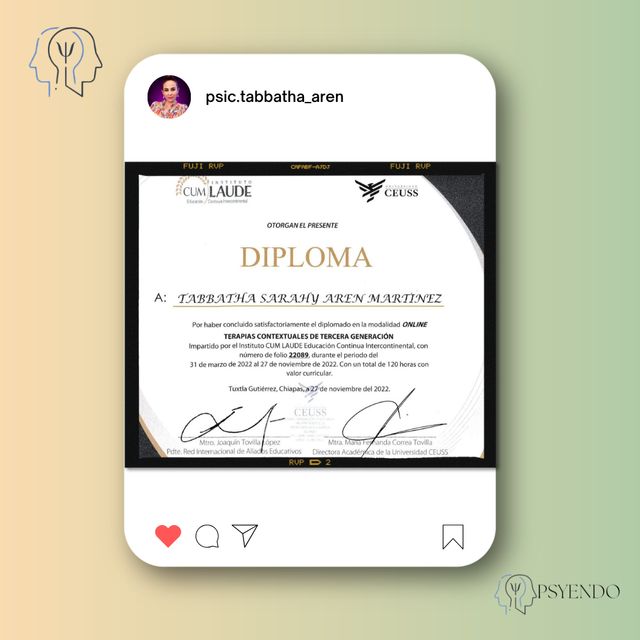 Ampliar imagen: certificate 10