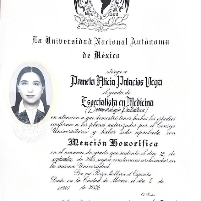 Ampliar imagen: certificate 1