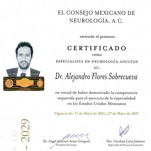 Ampliar imagen: certificate 3
