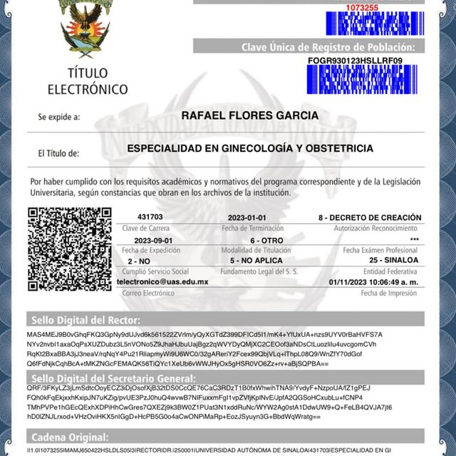 Ampliar imagen: certificate 4