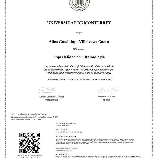 Ampliar imagen: certificate 2