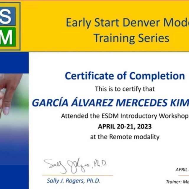 Ampliar imagen: certificate 4