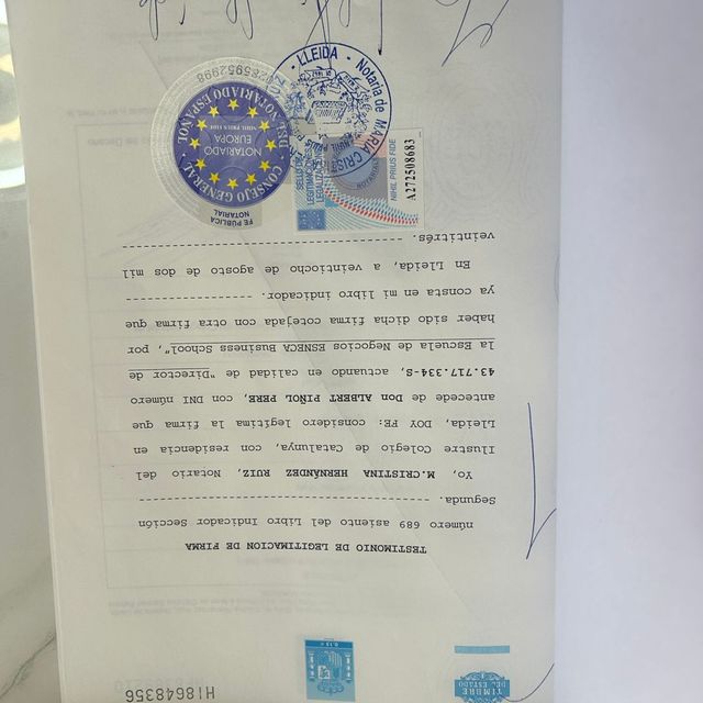 Ampliar imagen: certificate 19