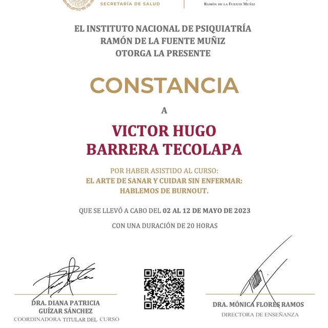 Ampliar imagen: certificate 45