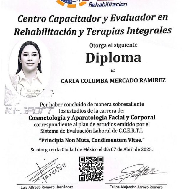 Ampliar imagen: certificate 3
