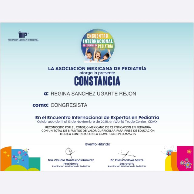 Ampliar imagen: certificate 2