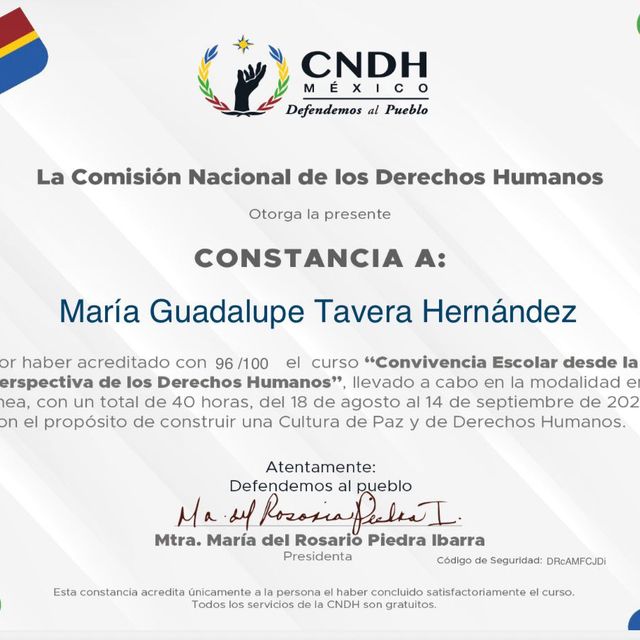 Ampliar imagen: certificate 8