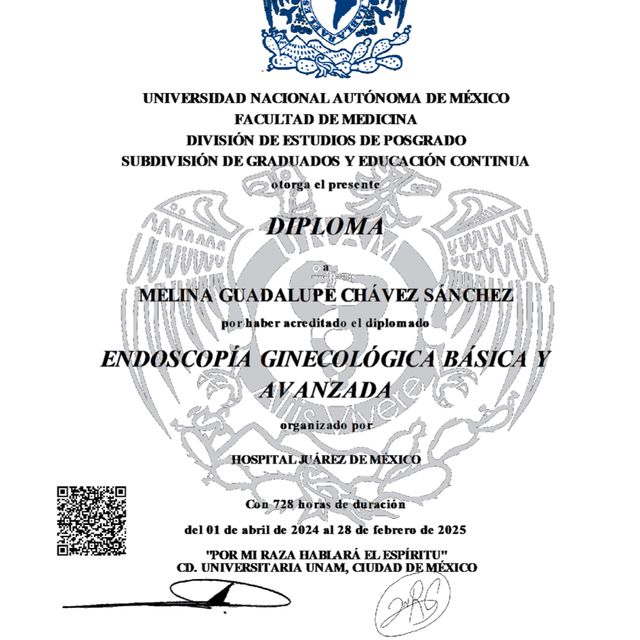 Ampliar imagen: certificate 3