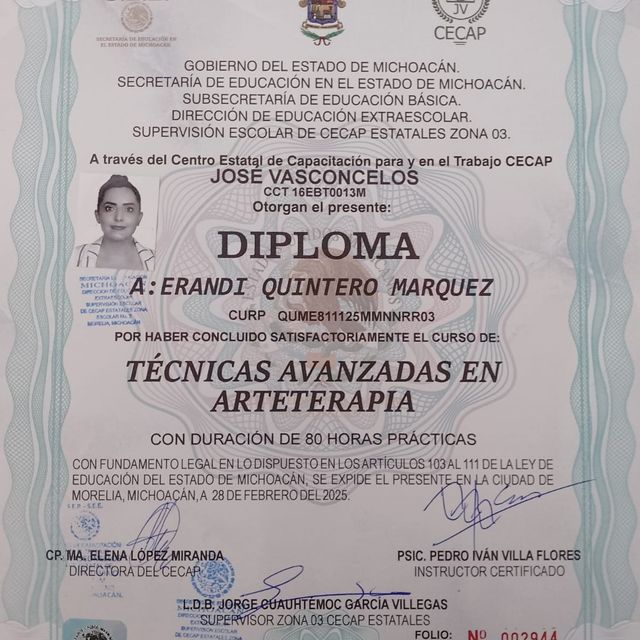 Ampliar imagen: certificate 14