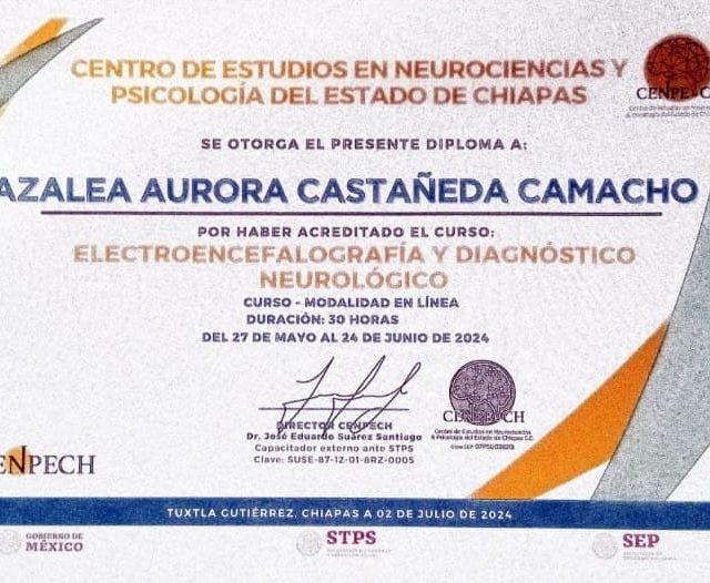 Ampliar imagen: certificate 2