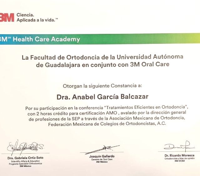 Ampliar imagen: certificate 8