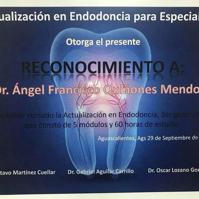 Ampliar imagen: certificate 6