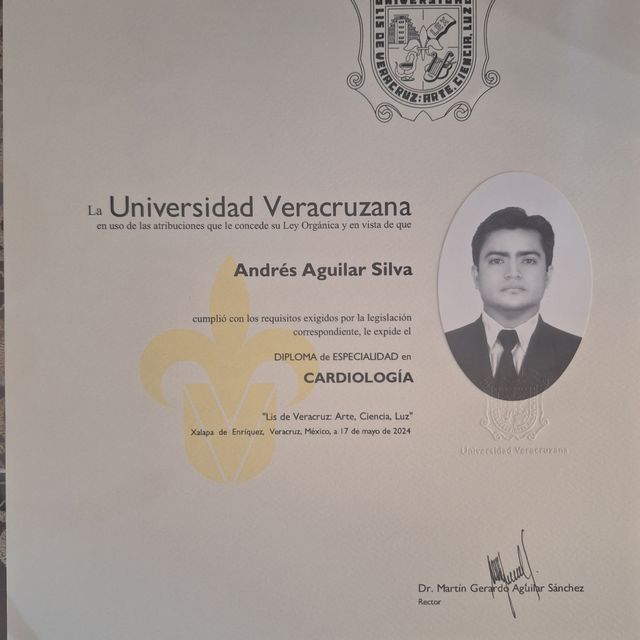 Ampliar imagen: certificate 3