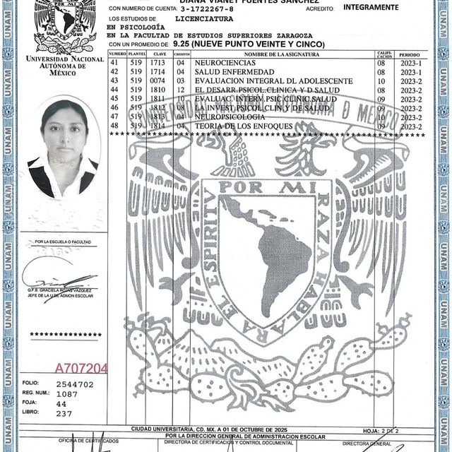 Ampliar imagen: certificate 2