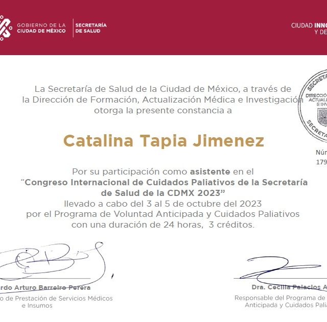 Ampliar imagen: certificate 5