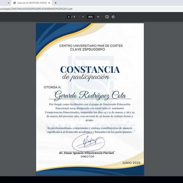 Ampliar imagen: certificate 26