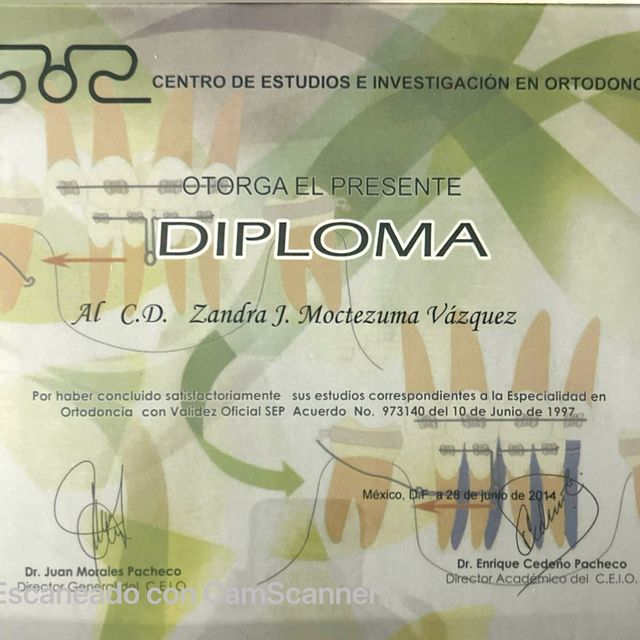 Ampliar imagen: certificate 11