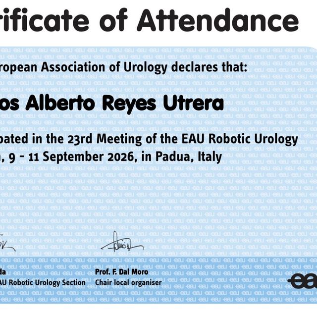 Ampliar imagen: certificate 4