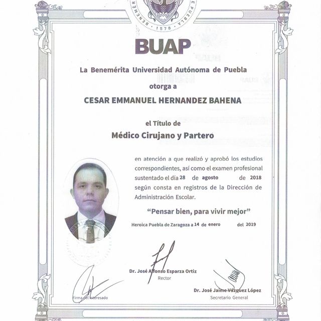 Ampliar imagen: certificate 3