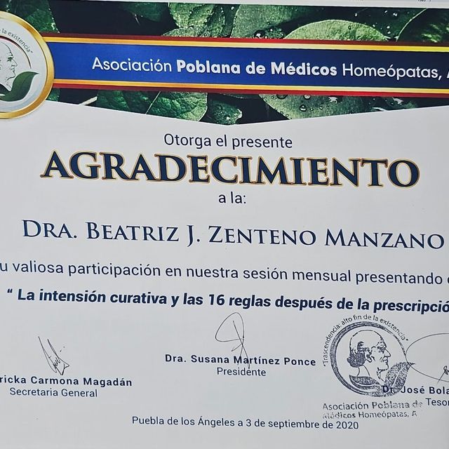 Ampliar imagen: certificate 5