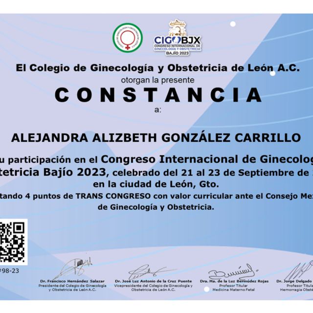 Ampliar imagen: certificate 5