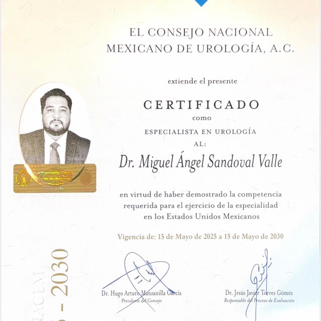 Ampliar imagen: certificate 1