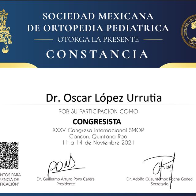 Ampliar imagen: certificate 8