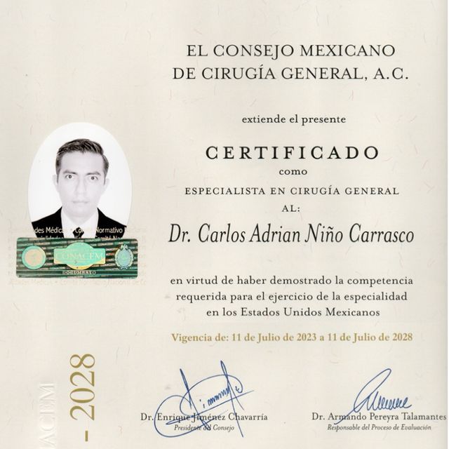 Ampliar imagen: certificate 4